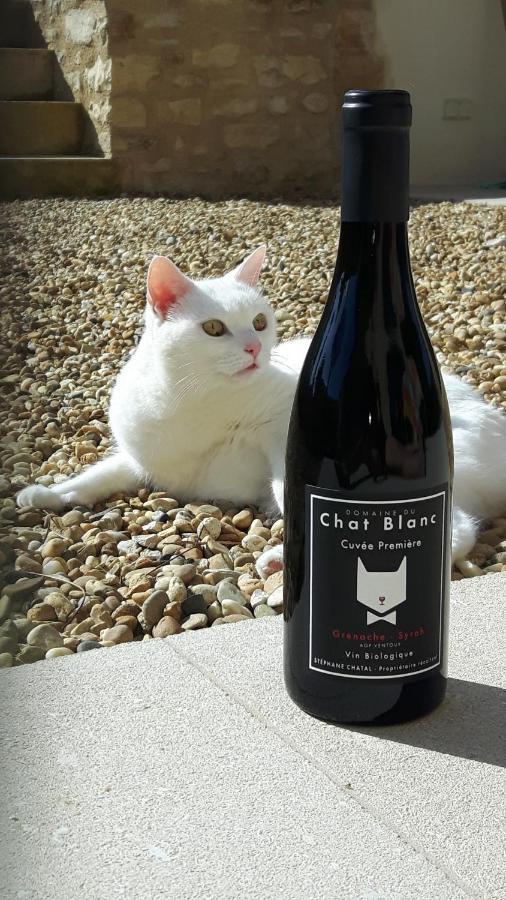 Le Cottage Du Chat Blanc Saint Didier  Eksteriør bilde